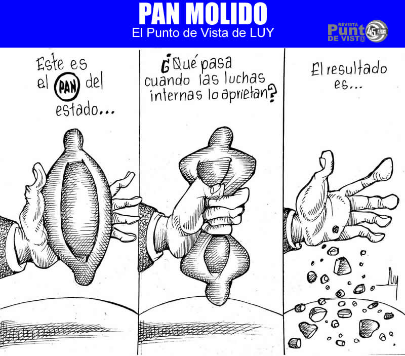 LUY - Partido Accion Nacional SLP - PAN Molido